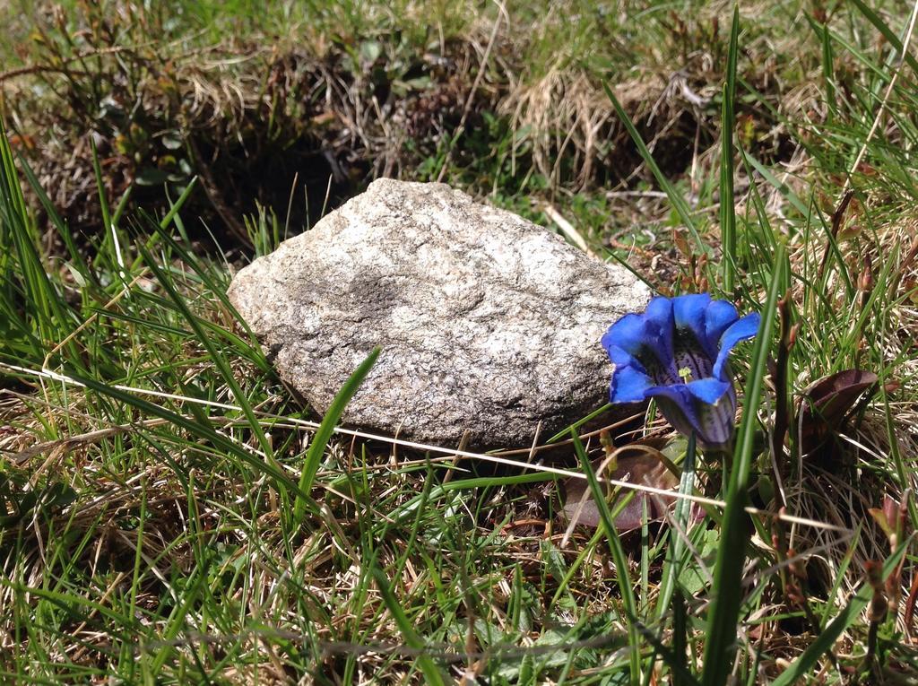 Berghaus Aussergschloess Matrei in Osttirol Exterior foto
